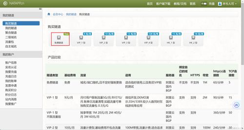 在公司内网开发的时候如何和互联网第三方平台环境联调之内网穿透