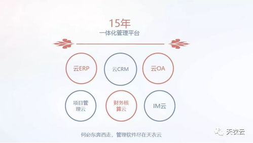 天衣crm客户管理系统助力餐饮加盟企业品牌发展