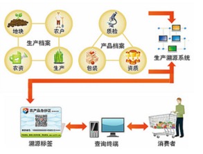蔬菜种子标签 二维码溯源系统